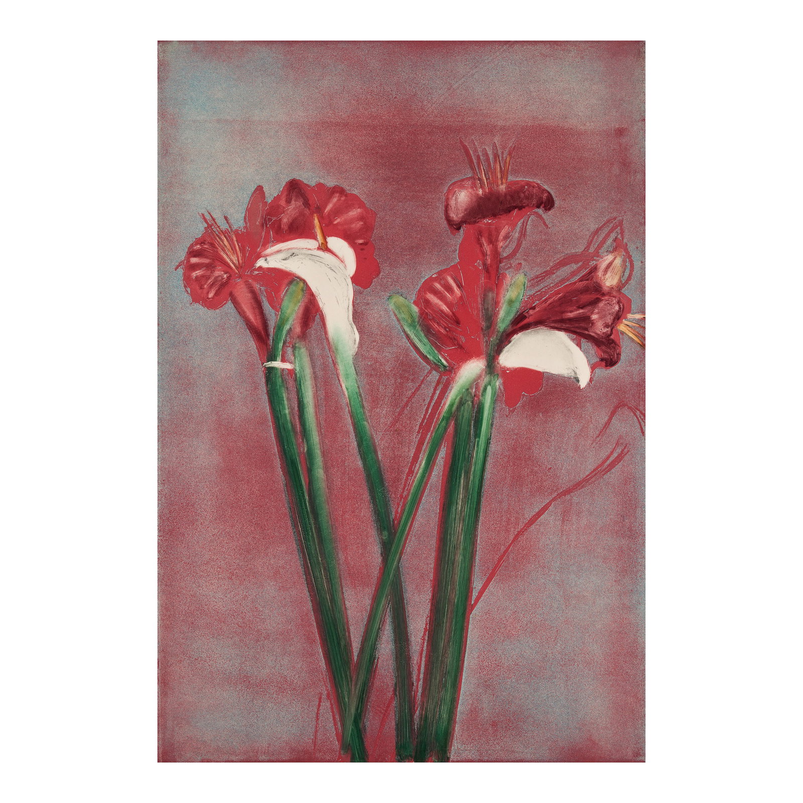 Michael Mazur (American, 1935-2009) Amaryllis/Calla II: Michael Mazur (American, 1935-2009) Amaryllis/Calla II titled, numbered, dated, and signed 'Amaryllis/Calla II / 2/20 / 1982 / Mazur' (in pencil along the lower edge) monoprint with etching, aquatint
