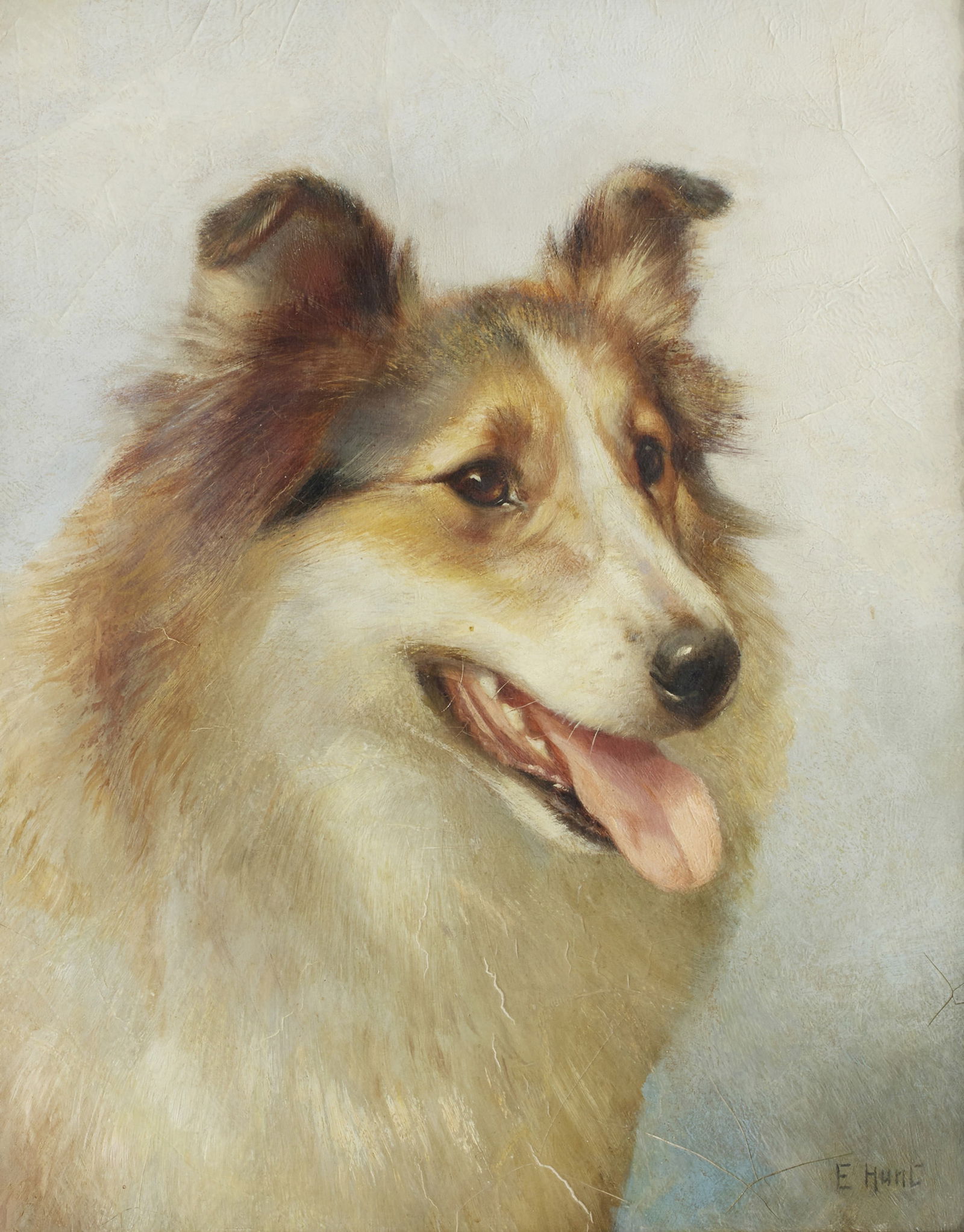 Edgar Hunt (British, 1876-1955) Portrait of a Collie: Edgar Hunt (British, 1876-1955) Portrait of a Collie signed 'E Hunt' (lower right) oil on board 35.5 x 28.5cm (14 x 11 1/4in). Footnotes: Provenance With Malcolm Innes Gallery, Lo