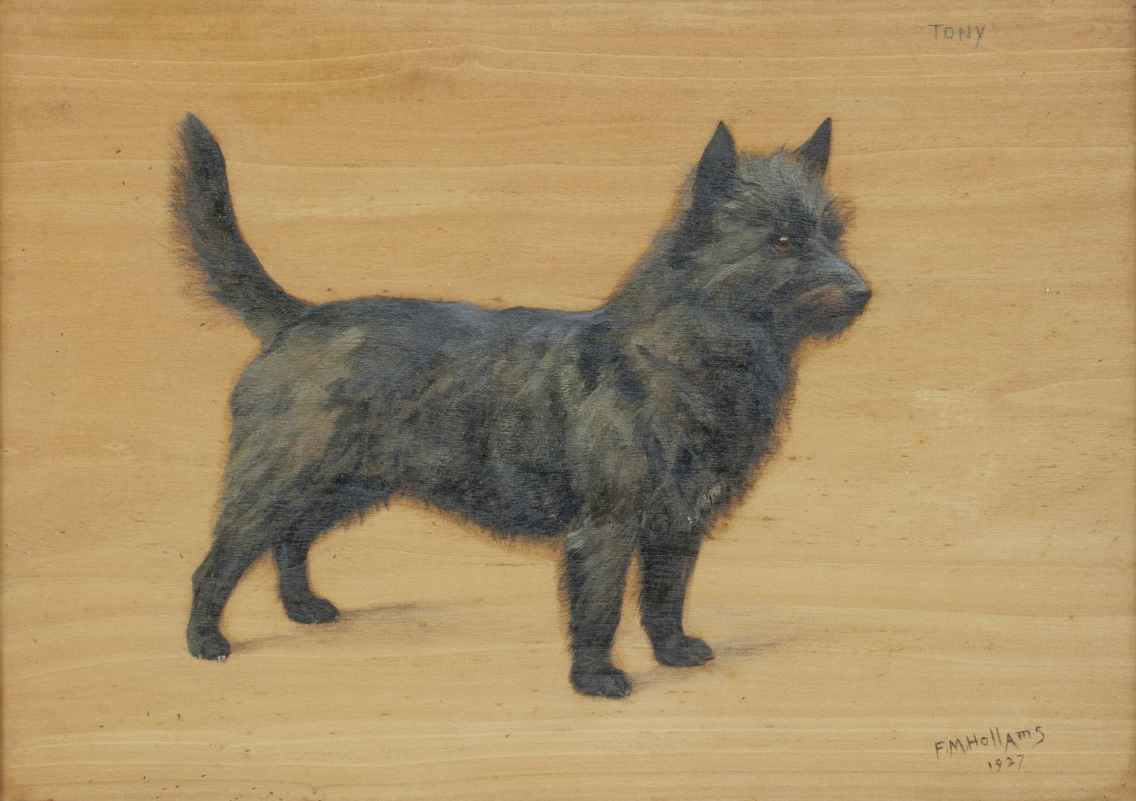 Frances Mabel Hollams (British, 1877-1963) 'Tony' - a black Terrier: Frances Mabel Hollams (British, 1877-1963) 'Tony' - a black Terrier signed and dated 'F.M.HOLLAMS/1927' (lower right) and inscribed 'TONY' (upper right) oil on wood board 25.5 x 35cm (10 1/16 x 13 3/4