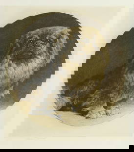 Herbert Thomas Dicksee RE (British, 1862-1942) A Pekinese  image diameter 34.5cm (13 9/16in) (ar...: Herbert Thomas Dicksee RE (British, 1862-1942) A Pekinese signed in pencil 'Herbert Dicksee' (lower left) etching on vellum image diameter 34.5cm (13 9/16in) artist's proof published by Frost & Reed,