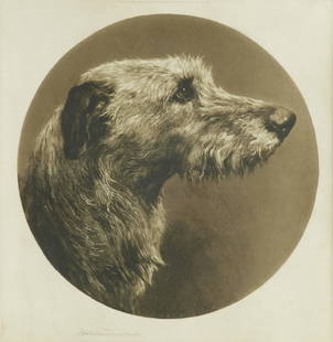 Herbert Thomas Dicksee RE (British, 1862-1942) The Old Hound - a Deerhound in profile image diam...: Herbert Thomas Dicksee RE (British, 1862-1942) The Old Hound - a Deerhound in profile signed in pencil 'Herbert Dicksee' (lower left) etching on vellum image diameter 37.5 cm (14 3/4in) artist's proof