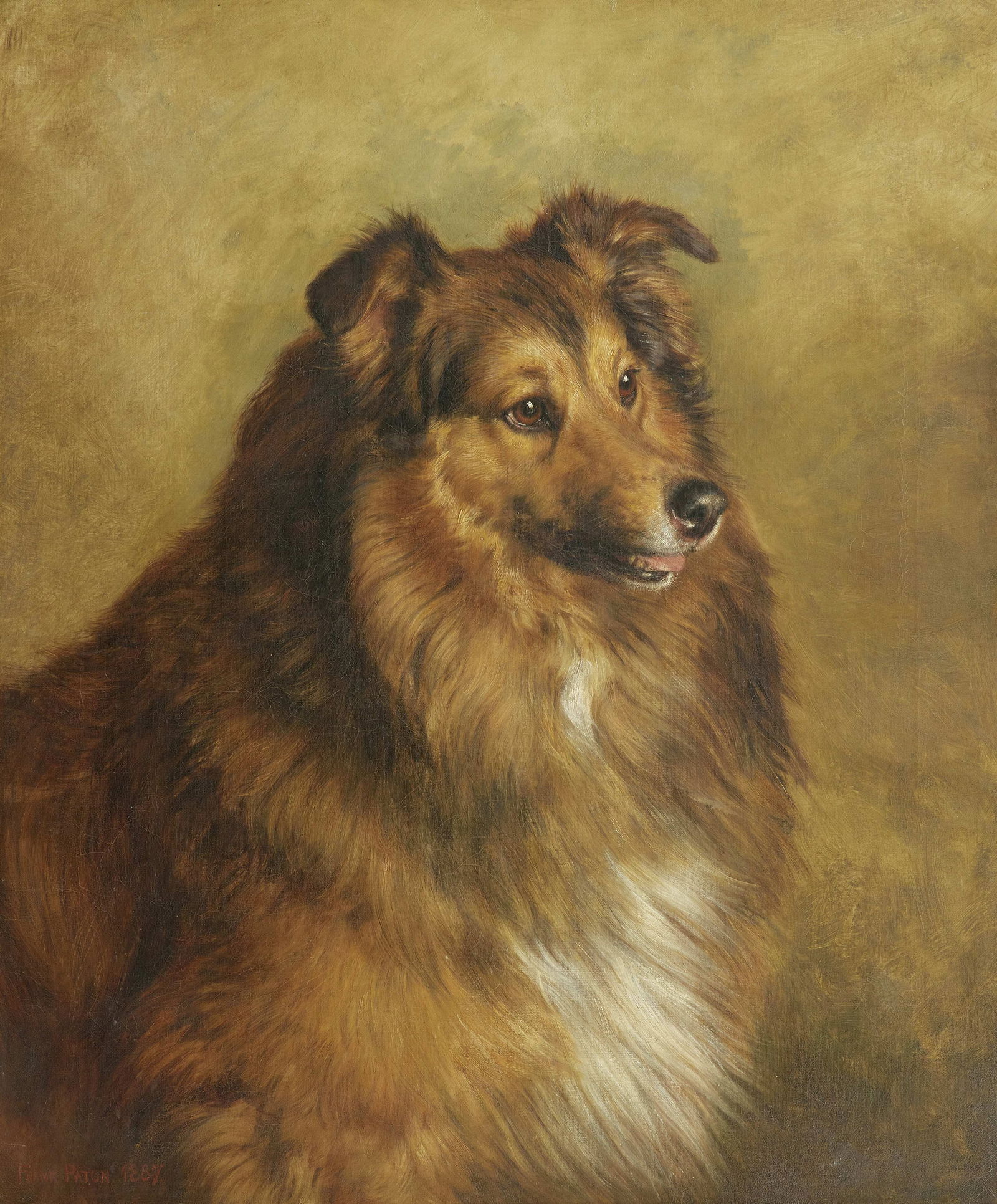 Frank Paton (British, 1856-1909) Champion 'Eclipse' - a sable and white Rough Collie: Frank Paton (British, 1856-1909) Champion 'Eclipse' - a sable and white Rough Collie signed and dated 'FRANK PATON. 1887.' (lower left) oil on canvas 69 x 57cm (27 3/16 x 22 7/16in). Footnotes: