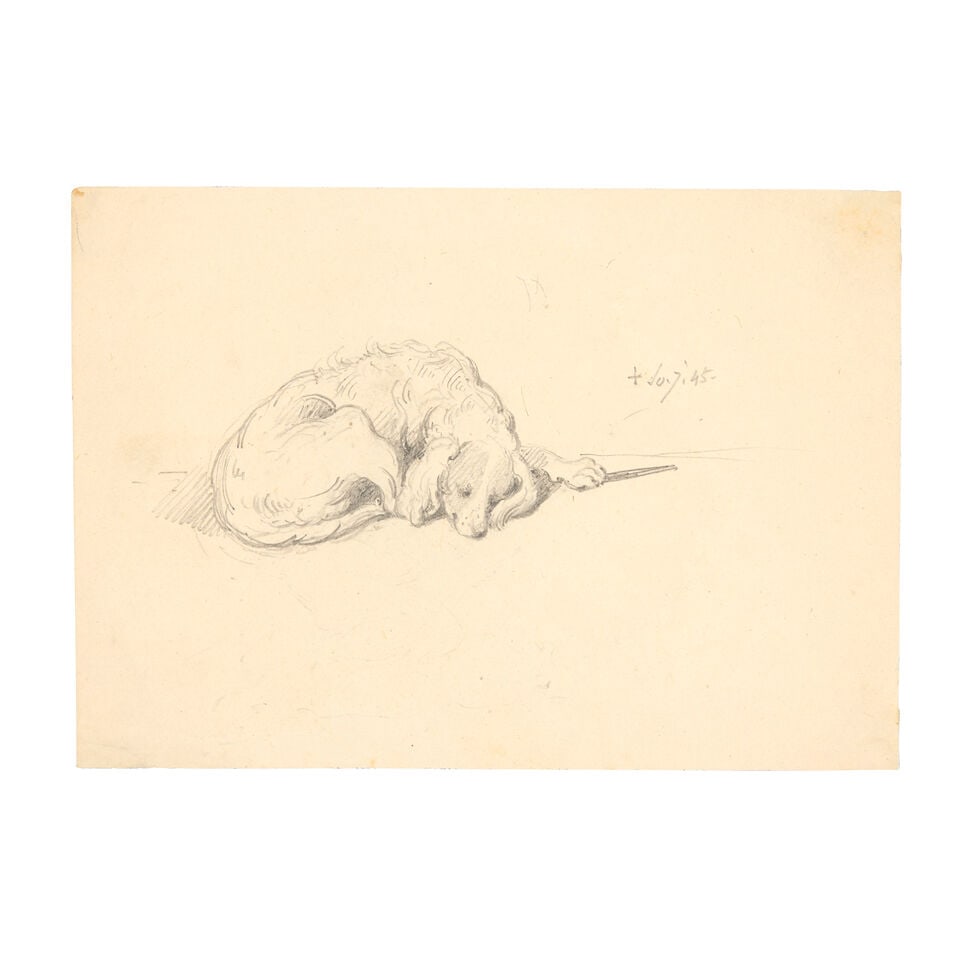 George Chinnery (London 1774-1852 Macau) Study of a sleeping dog (1 of 2)