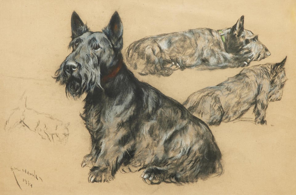Arthur Wardle RI (British, 1864-1949) Studies of a Scottish Terrier: Arthur Wardle RI (British, 1864-1949) Studies of a Scottish Terrier signed and dated 'Arthur Wardle/1934' (lower left) pastel on glass paper 35 x 53cm (13 3/4 x 20 7/8in). Footnotes: Provenance The ar