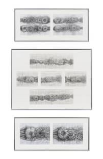 RYSZARD BAR Organic Structure Studies (Framework 1)2025 1186 mm x 755 mm (3): RYSZARD BAR Organic Structure Studies (Framework 1) 2025 pencil on paper and card 1186 mm x 755 mm (3) Footnotes: Through observations in line, tone and space my work explores both organic and inorgan
