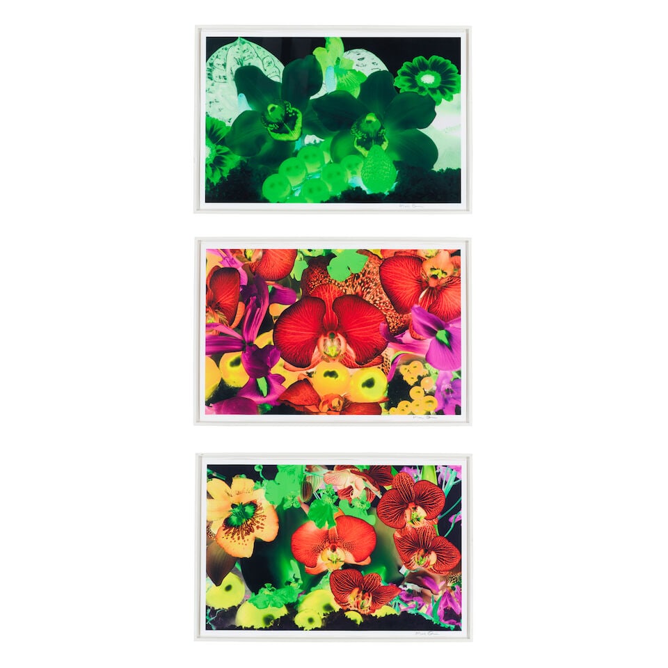 Marc Quinn (British, born 1964) Three Plates, from At the far edges of the universe Three pigmen...: Marc Quinn (British, born 1964) Three Plates, from At the far edges of the universe Three pigment prints, 2010, on wove paper, each signed in black crayon recto and numbered 10/59 in pencil verso, pub