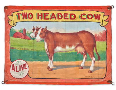 Two Headed Cow Sideshow Banner Fred G. Johnson (American, 1892-1990), for C. Henry Tent & Awning...: Two Headed Cow Sideshow Banner Fred G. Johnson (American, 1892-1990), for C. Henry Tent & Awning Co., Chicago, Illinois, c. 1945 Four seamed length of machine-woven canvas oil-painted on one side with