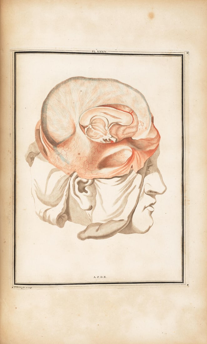 VICQ D'AZYR, FELIX. 1748-1794. Traite d'antomie et de physiologie. Paris: Didot l'aine, 1786. (1 of 2)