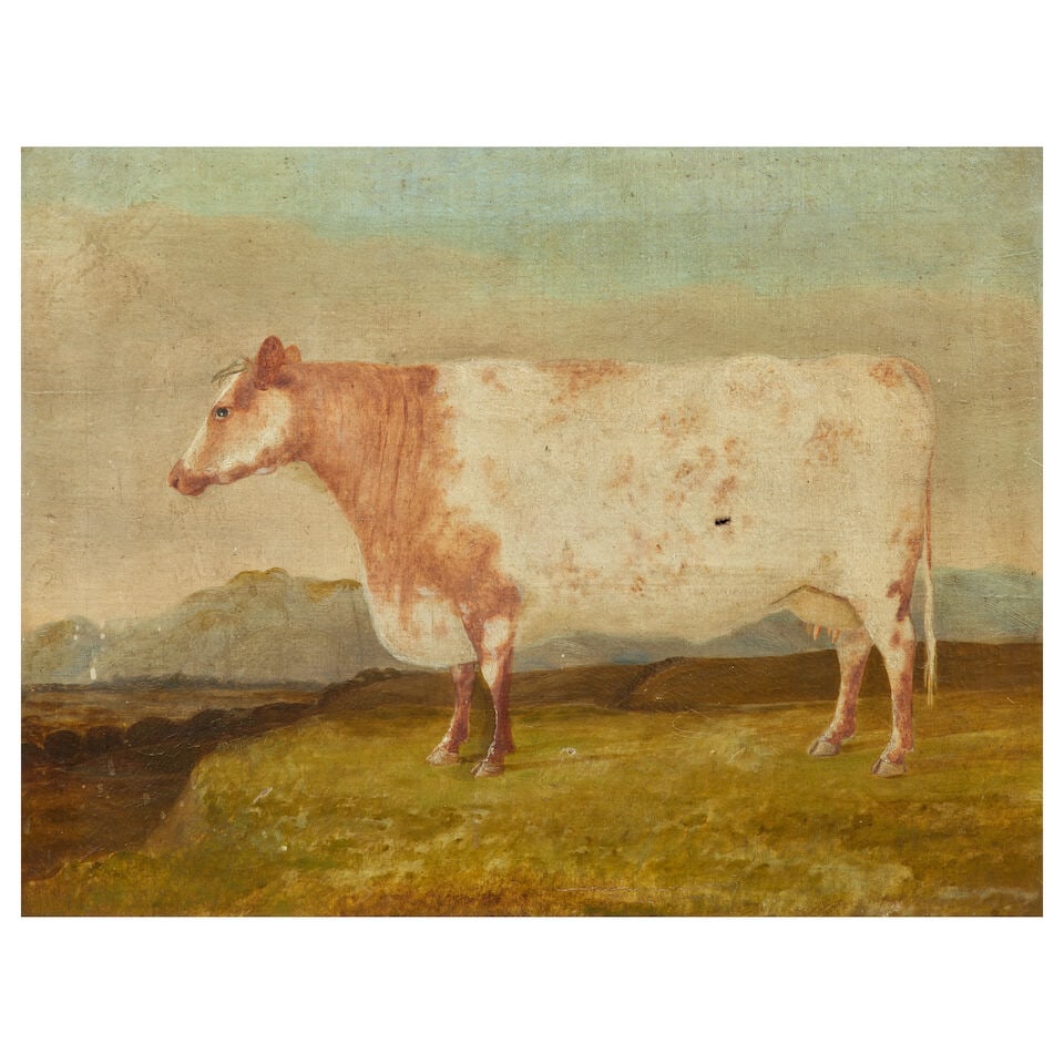 English School, 19th Century Portrait of a short horn cow in a landscape (1 of 3)