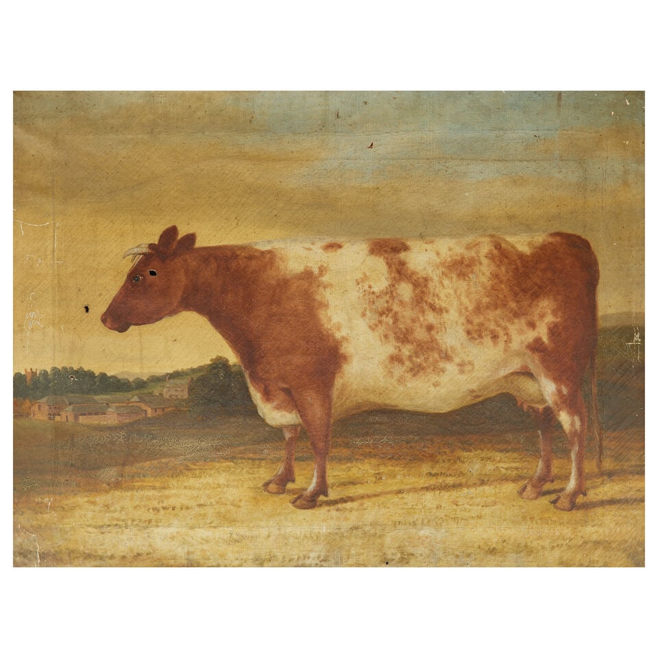 English School, 19th Century Portrait of a short horn cow with farm buildings beyond (1 of 3)