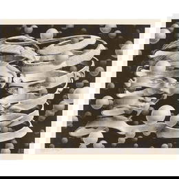 M.C. Escher (1898-1972); Bond of Union;