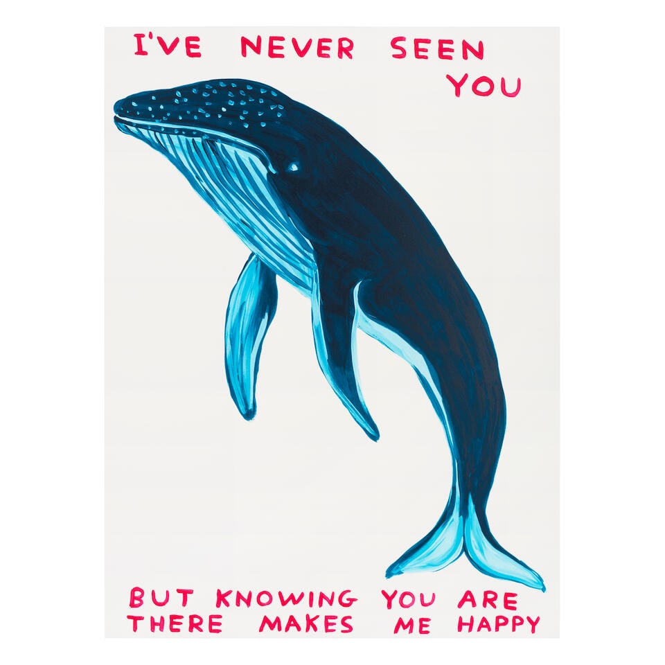 David Shrigley (British, born 1968) I've Never Seen You Screenprint in colours, 2020, on Somerse...: David Shrigley (British, born 1968) I've Never Seen You Screenprint in colours, 2020, on Somerset Satin wove paper, signed with the initials, dated and numbered 42/125 in pencil verso, printed and pub