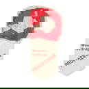 WOMEN'S SUFFRAGE PROCESSION 1907 – 'MUD MARCH' Rosette of red and white tissue