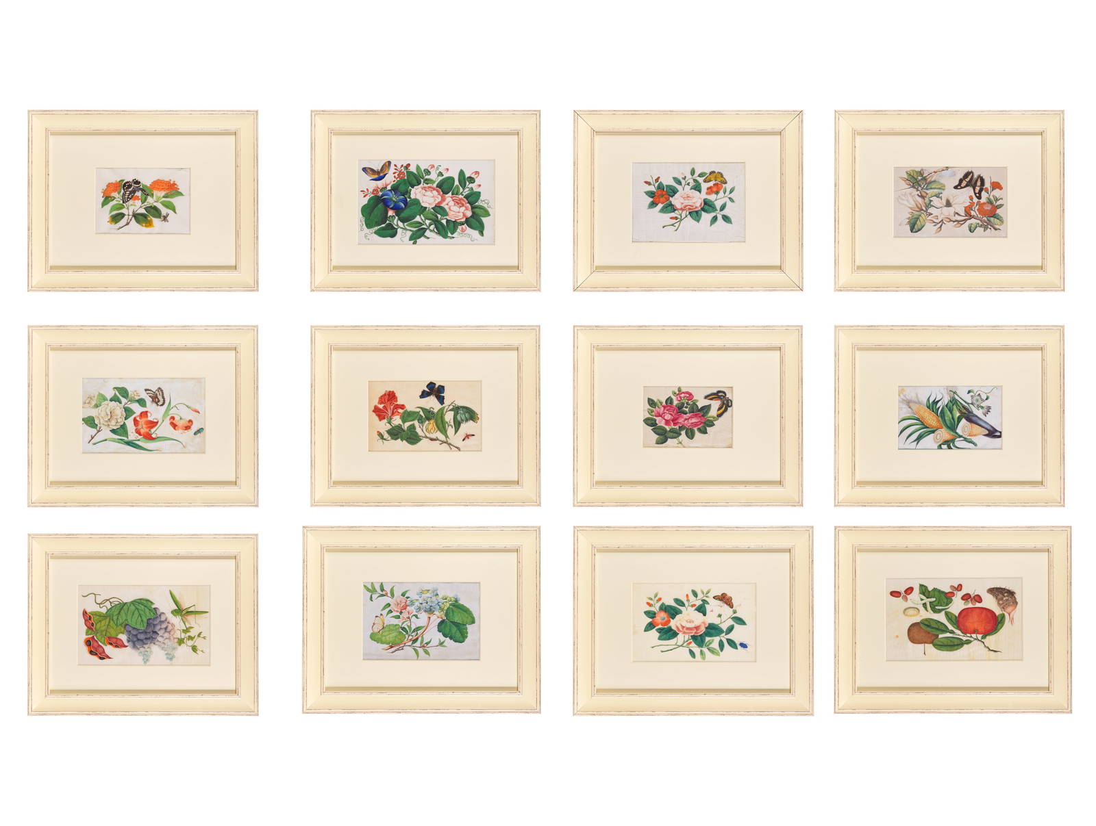 CHINESE ARTIST (19TH CENTURY) Butterflies, Flowers and Vegetable Studies (12)