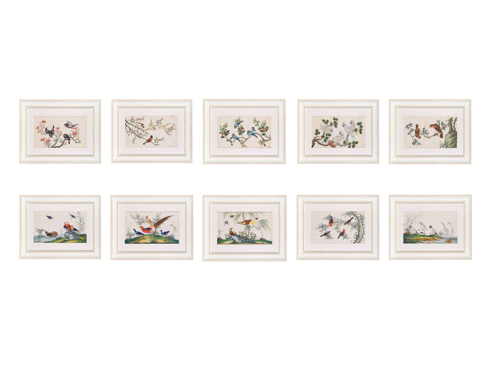 CHINESE ARTIST (19TH CENTURY) Studies of Birds (10)