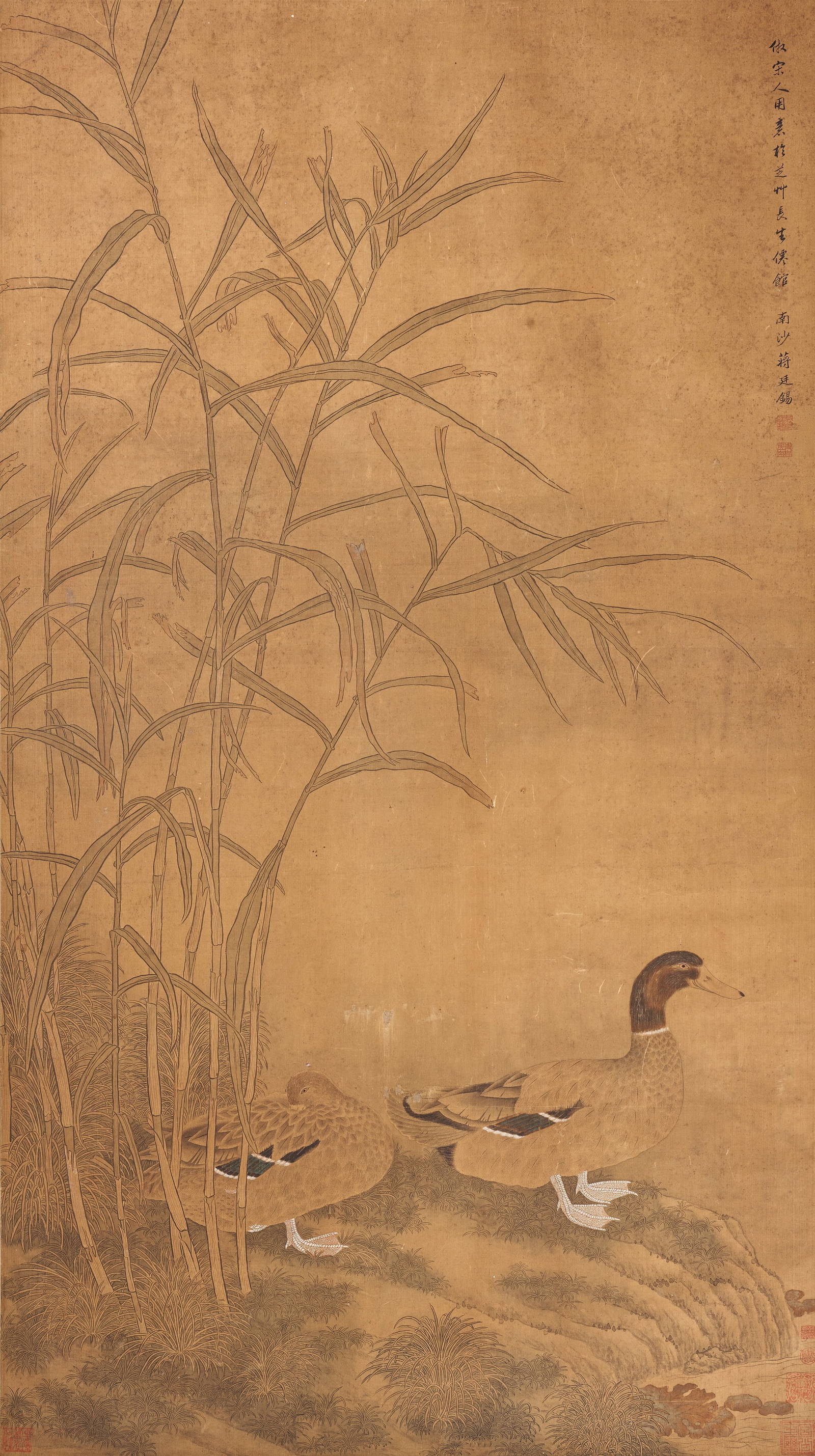 ATTRIBUTED TO JIANG TINGXI (1669-1732) Ducks