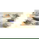 Eliot Hodgkin (British, 1905-1987) Eight Feather II