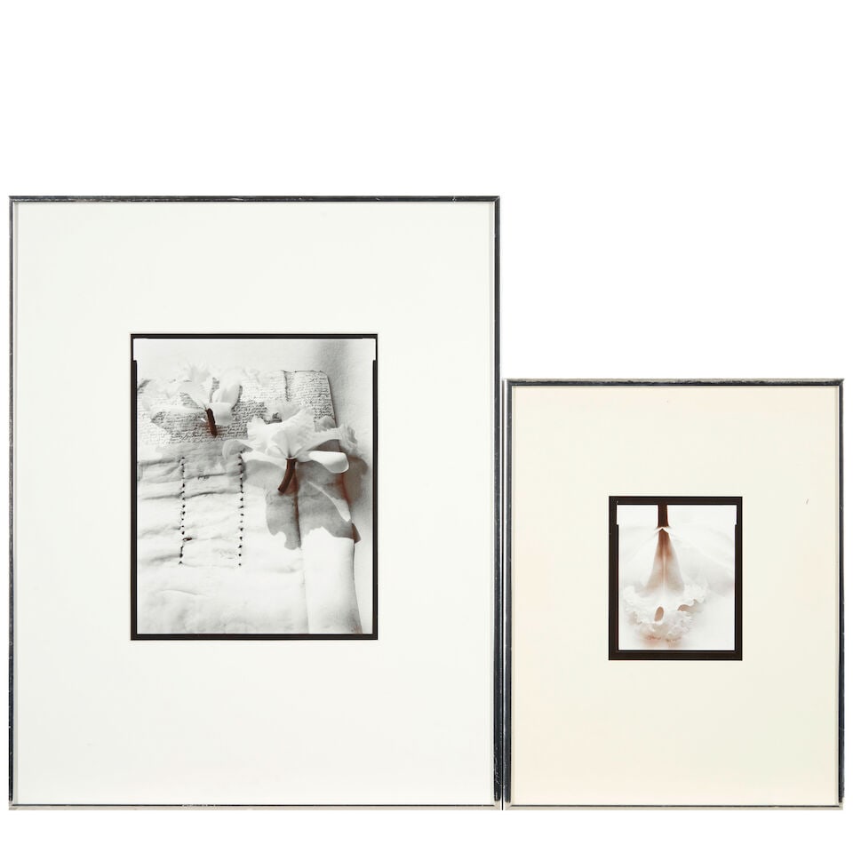 Olivia Parker (born 1941); Two Photographs including: Cut Orchid; (2): Olivia Parker (born 1941) Two Photographs including: Cut Orchid, 1980 Orchid, 1977 Two gelatin silver prints, printed 1981 and 1978; each titled and signed 'Olivia Parker' in ink along the lower margi