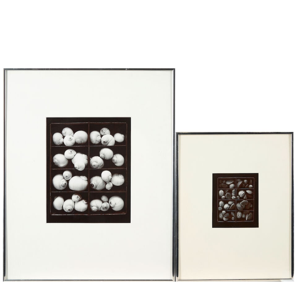 Olivia Parker (born 1941); Two Photographs including: Mixed Nuts; (2): Olivia Parker (born 1941) Two Photographs including: Mixed Nuts, 1978 Moon Snails, 1975 Two gelatin silver prints, printed 1981 and 1979; each titled and signed 'Olivia Parker' in ink along the lower
