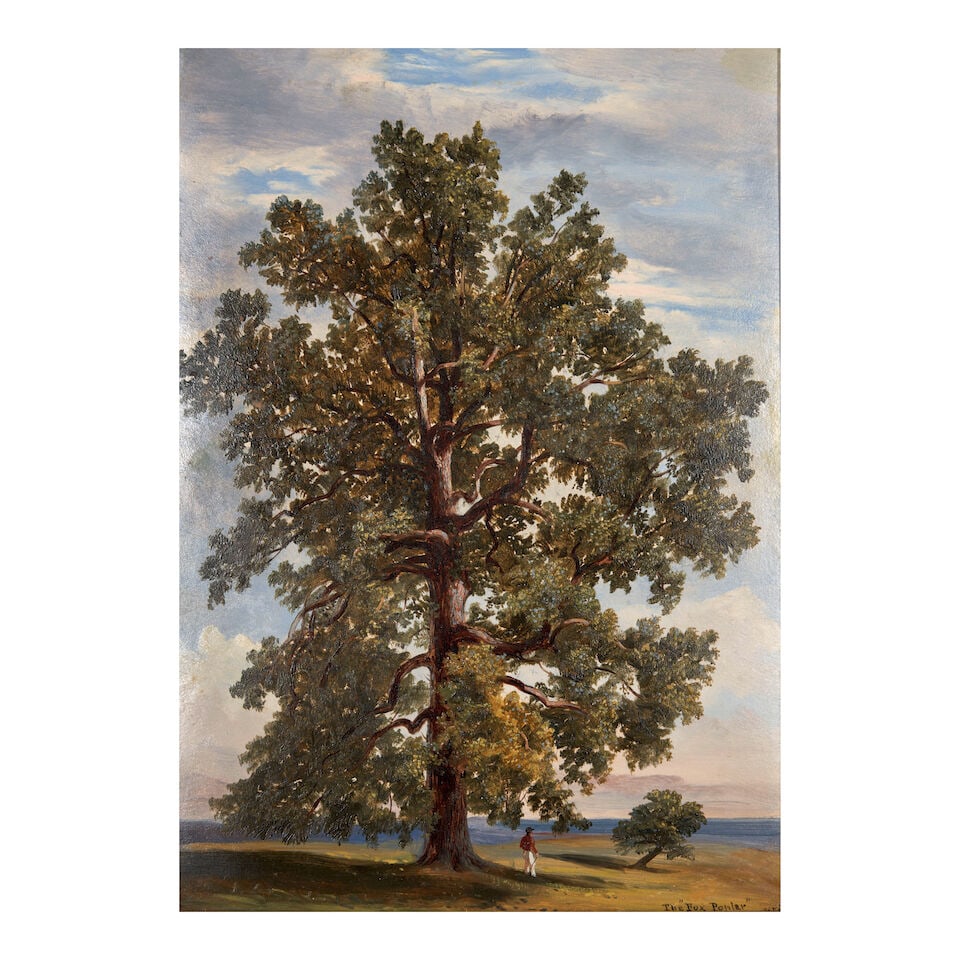 Attributed to Russell Smith (1812-1896) The 'Fox Poplar' 14 1/2 x 10 1/2 in. (36.8 x 26.6 cm.) (...: Attributed to Russell Smith (1812-1896) The 'Fox Poplar' titled and dated (lower right) and inscribed 'RS218' (on the reverse) oil on paper board 14 1/2 x 10 1/2 in. (36.8 x 26.6 cm.) Painted in 1850.