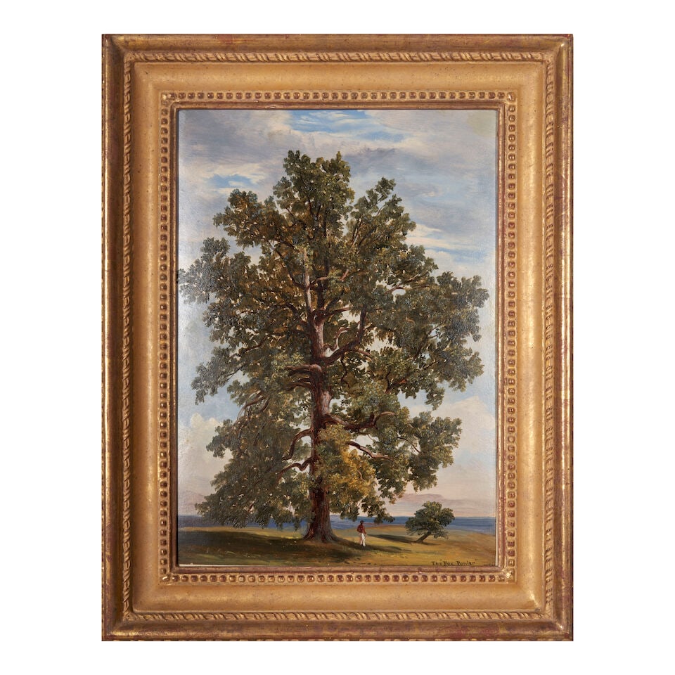 Attributed to Russell Smith (1812-1896) The 'Fox Poplar' 14 1/2 x 10 1/2 in. (36.8 x 26.6 cm.) (... - 4