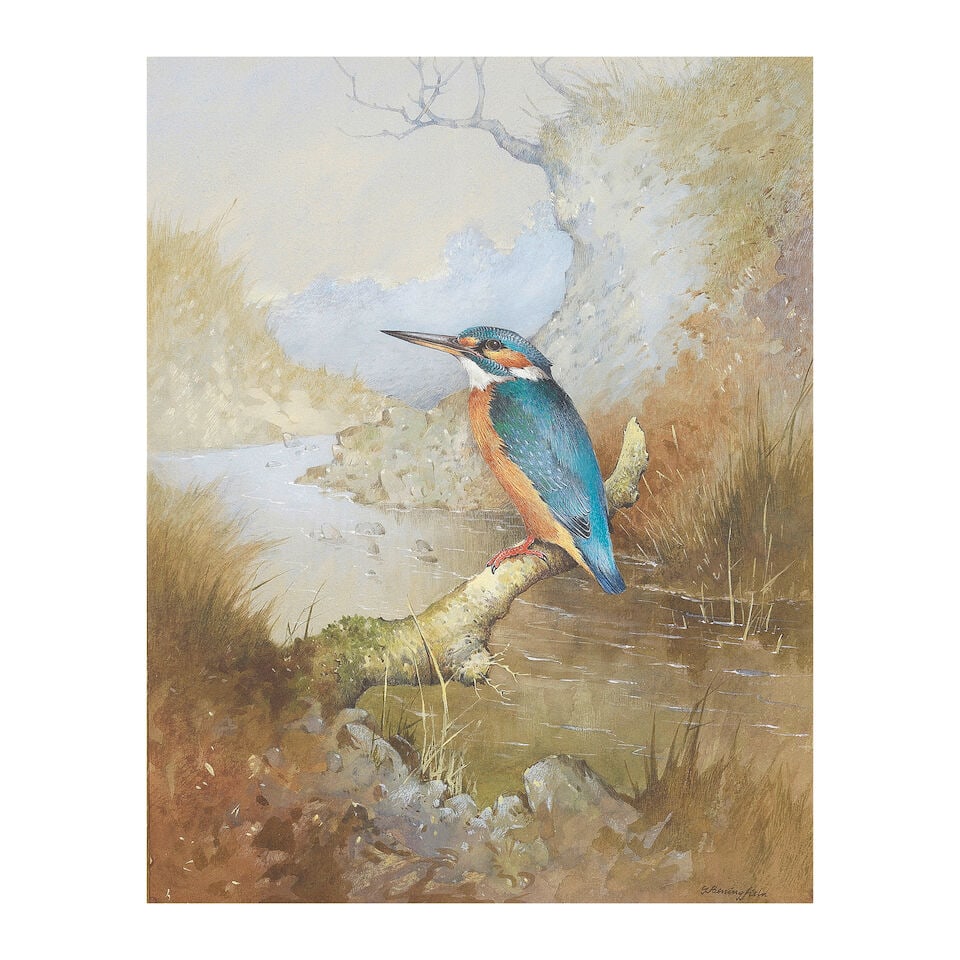 Gordon Beningfield (British, 1936-1998) Kingfisher: Gordon Beningfield (British, 1936-1998) Kingfisher signed 'GBeningfield' (lower right) watercolour 37 x 29cm (14 9/16 x 11 7/16in). Footnotes: Provenance With Tyron Gallery, London, December