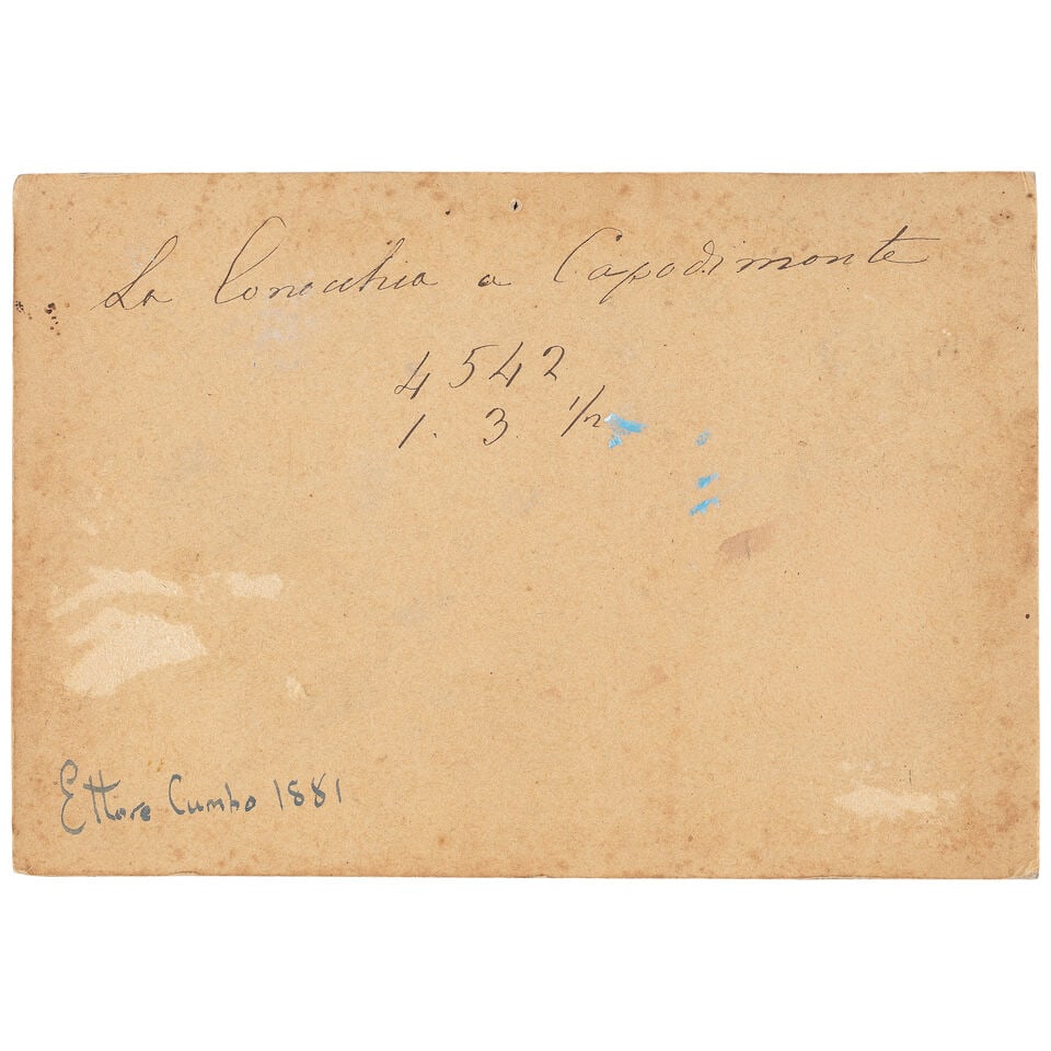 Ettore Cumbo (Italian, 1833-1899) Two views of the bay of Naples - 5