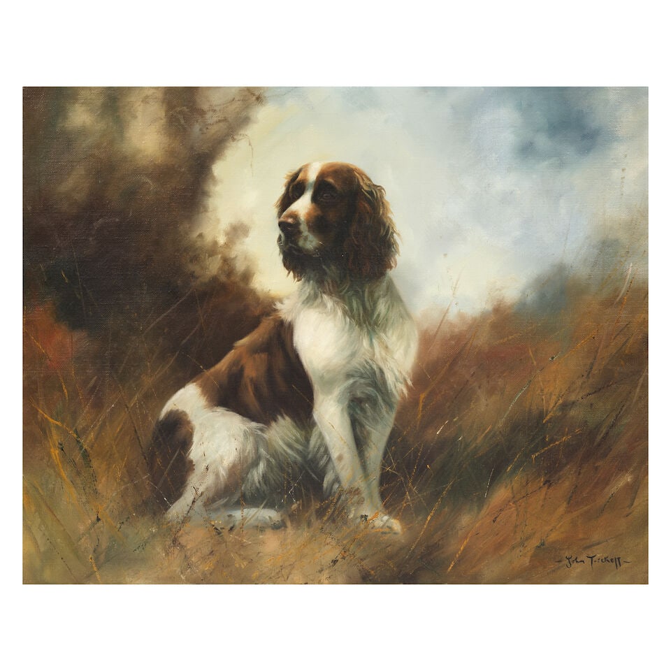 John Trickett (British, born 1952) Portrait of a spaniel: John Trickett (British, born 1952) Portrait of a spaniel signed '-John Trickett-' (lower right) oil on canvas 61 x 71cm (24 x 27 15/16in). For further information on this lot please visit