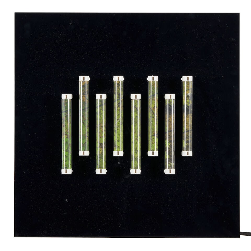 CLINT BACLAWSKI (B. 1981) Chromogenic Study #1 (1 of 4)