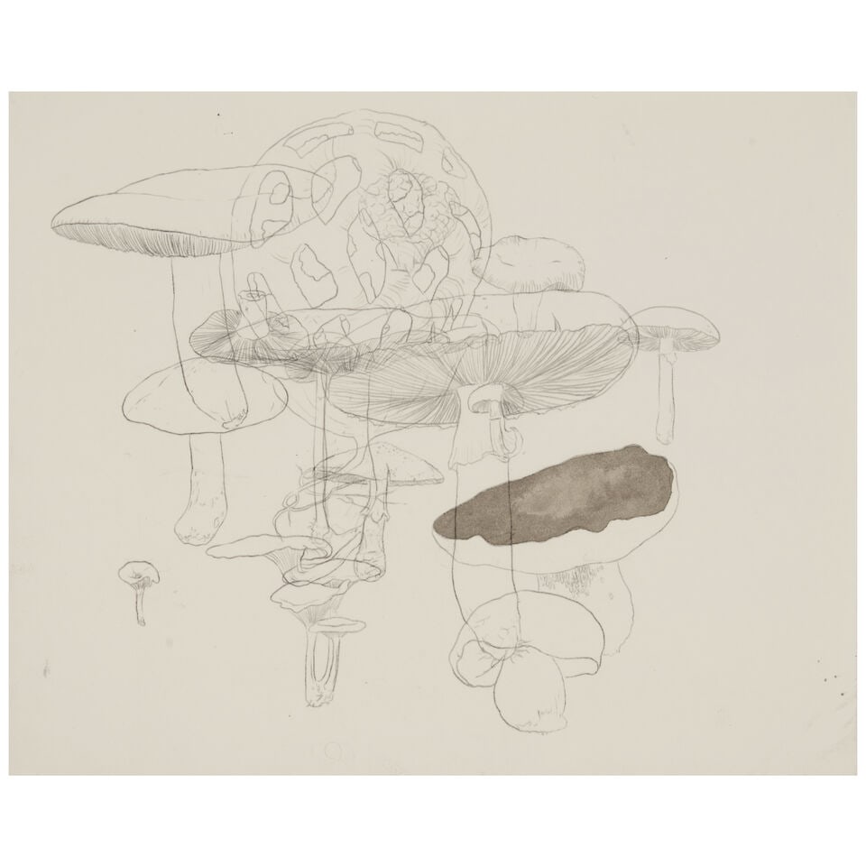 ROXY PAINE (B. 1966) Study for Distillation: ROXY PAINE (B. 1966) Study for Distillation watercolor on paper 14 1/4 x 10 1/4 in (36.2 x 26.0 cm) Footnotes: Provenance David Zwirner Gallery, New York, NY. For further information on this lot