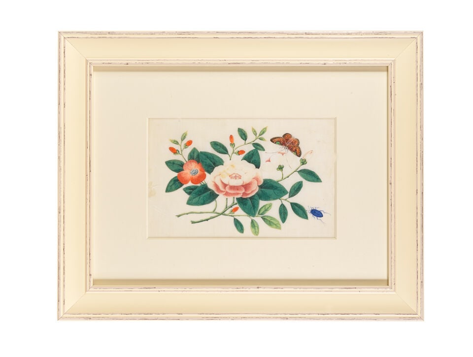 CHINESE ARTIST (19TH CENTURY) Butterflies, Flowers and Vegetable Studies (12) - 2