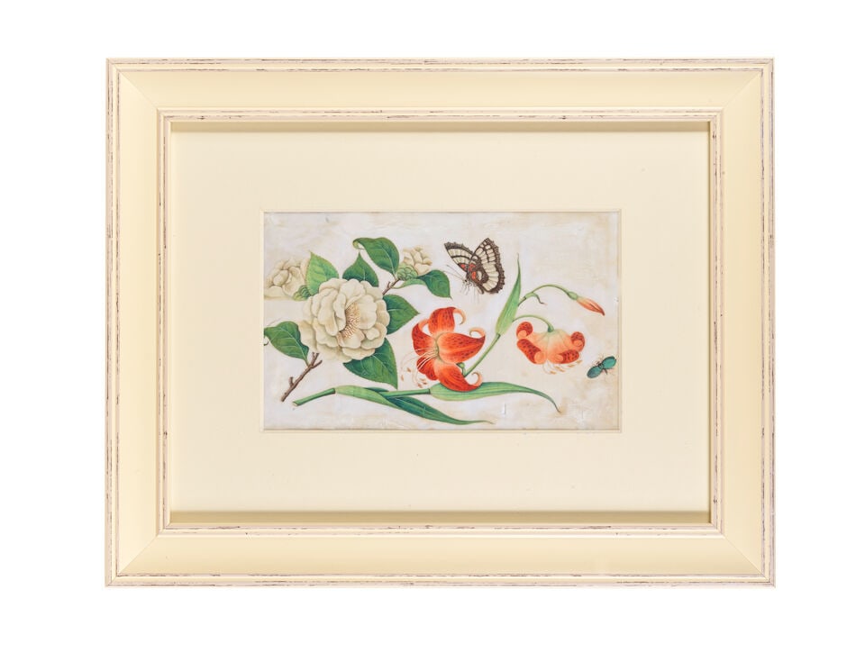 CHINESE ARTIST (19TH CENTURY) Butterflies, Flowers and Vegetable Studies (12) - 4
