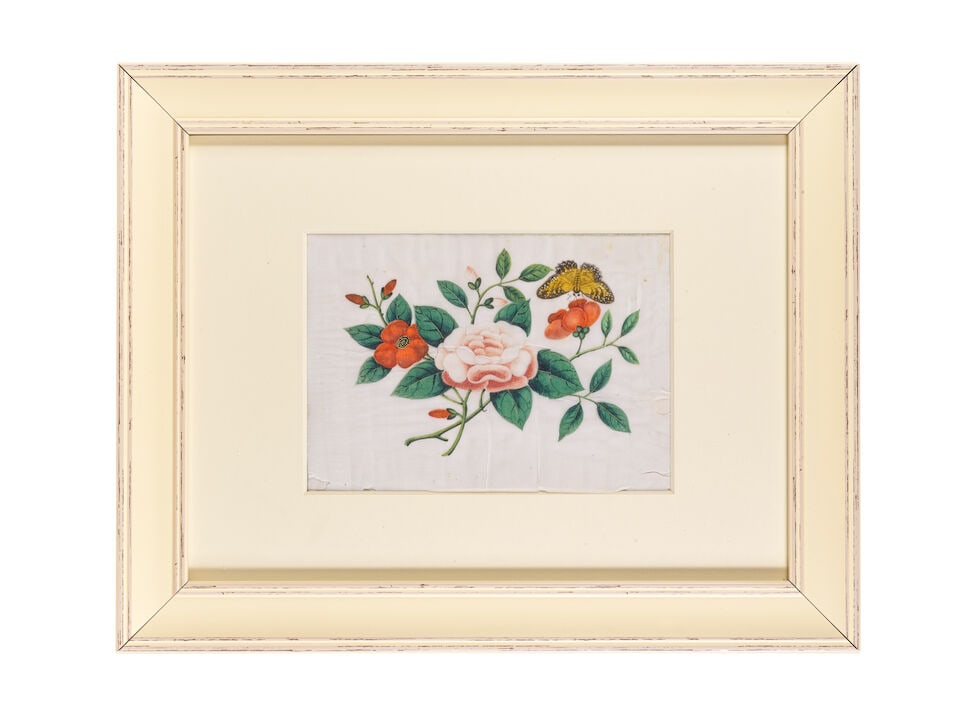 CHINESE ARTIST (19TH CENTURY) Butterflies, Flowers and Vegetable Studies (12) - 5