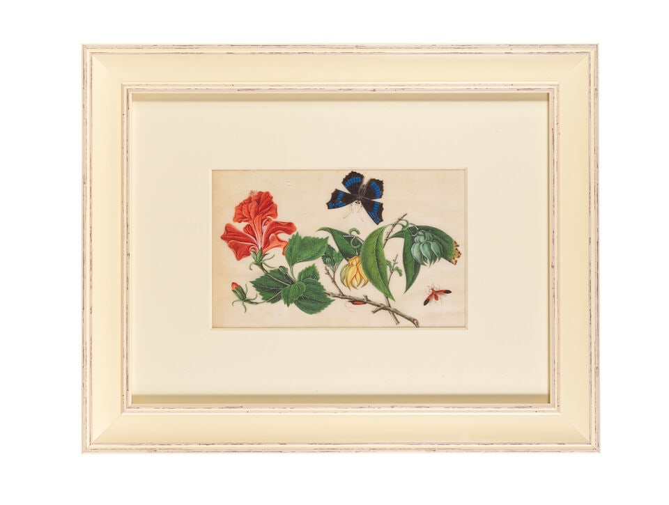 CHINESE ARTIST (19TH CENTURY) Butterflies, Flowers and Vegetable Studies (12) - 6