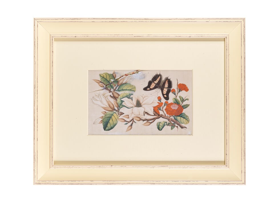 CHINESE ARTIST (19TH CENTURY) Butterflies, Flowers and Vegetable Studies (12) - 7