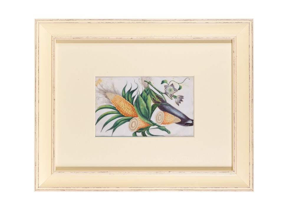 CHINESE ARTIST (19TH CENTURY) Butterflies, Flowers and Vegetable Studies (12) - 8