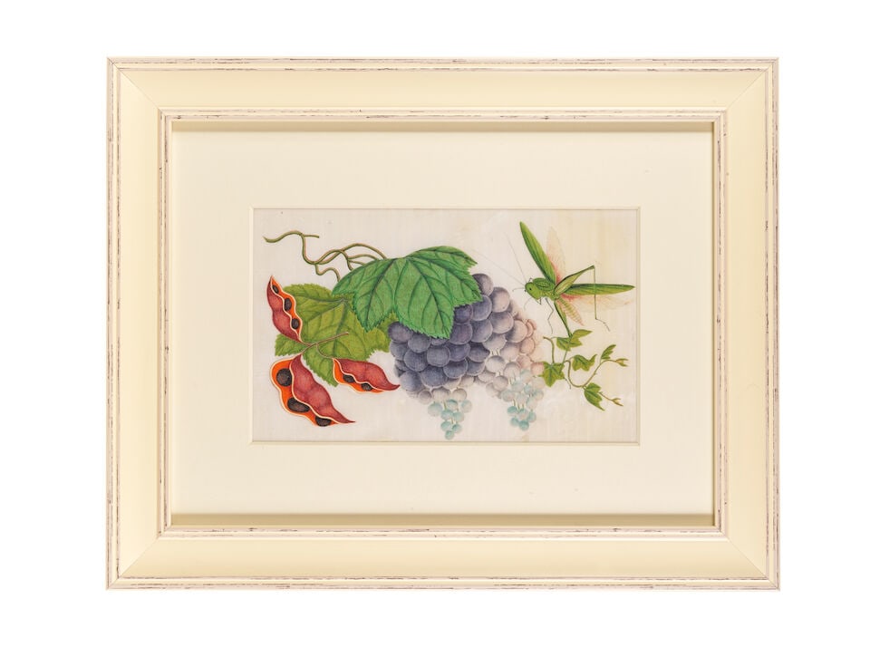 CHINESE ARTIST (19TH CENTURY) Butterflies, Flowers and Vegetable Studies (12) - 9