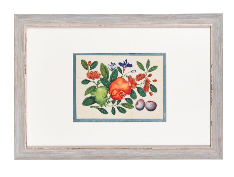 CHINESE ARTIST (19TH CENTURY) Studies of Fruit, Flowers and Vegetables (12) - 5