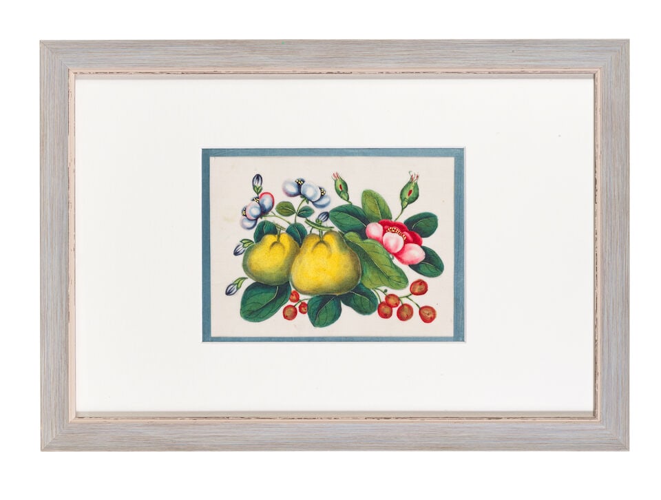 CHINESE ARTIST (19TH CENTURY) Studies of Fruit, Flowers and Vegetables (12) - 7