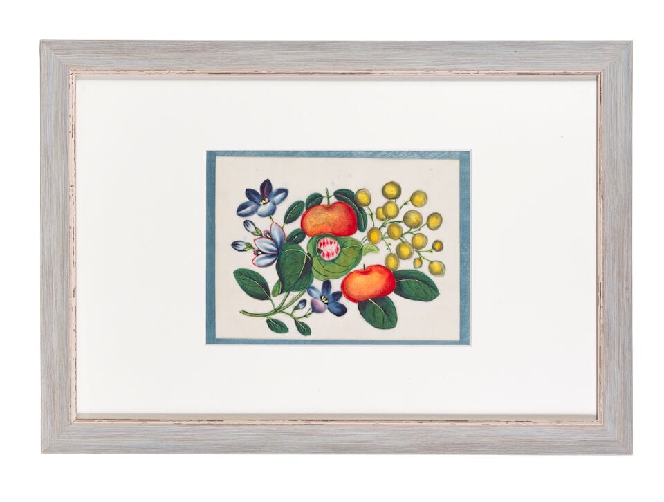 CHINESE ARTIST (19TH CENTURY) Studies of Fruit, Flowers and Vegetables (12) - 8