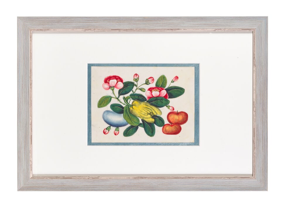 CHINESE ARTIST (19TH CENTURY) Studies of Fruit, Flowers and Vegetables (12) - 9