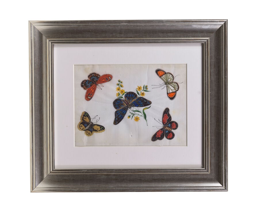 CHINESE ARTIST (19TH CENTURY) Studies of Butterflies and Insects (12) - 10