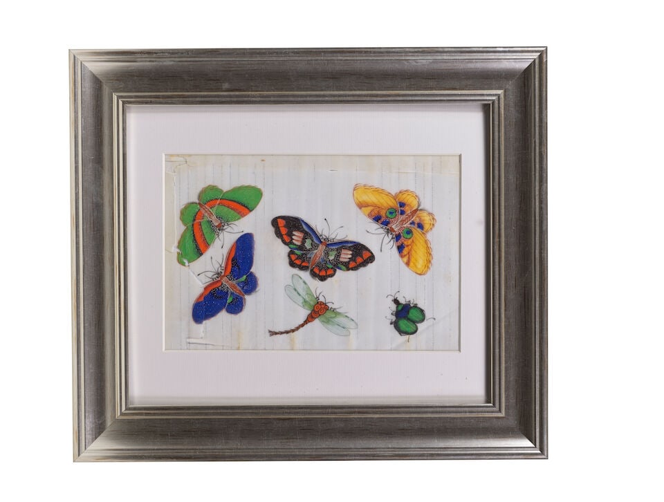 CHINESE ARTIST (19TH CENTURY) Studies of Butterflies and Insects (12) - 13