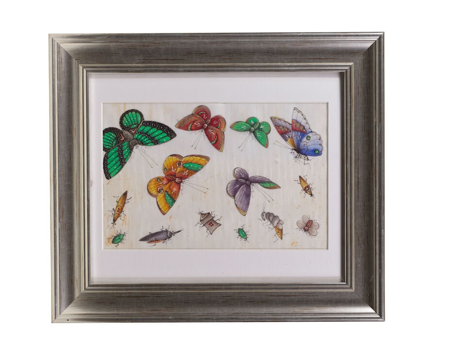 CHINESE ARTIST (19TH CENTURY) Studies of Butterflies and Insects (12) - 2