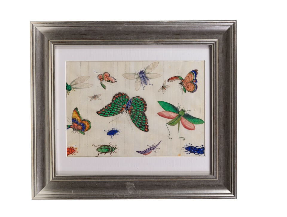 CHINESE ARTIST (19TH CENTURY) Studies of Butterflies and Insects (12) - 6
