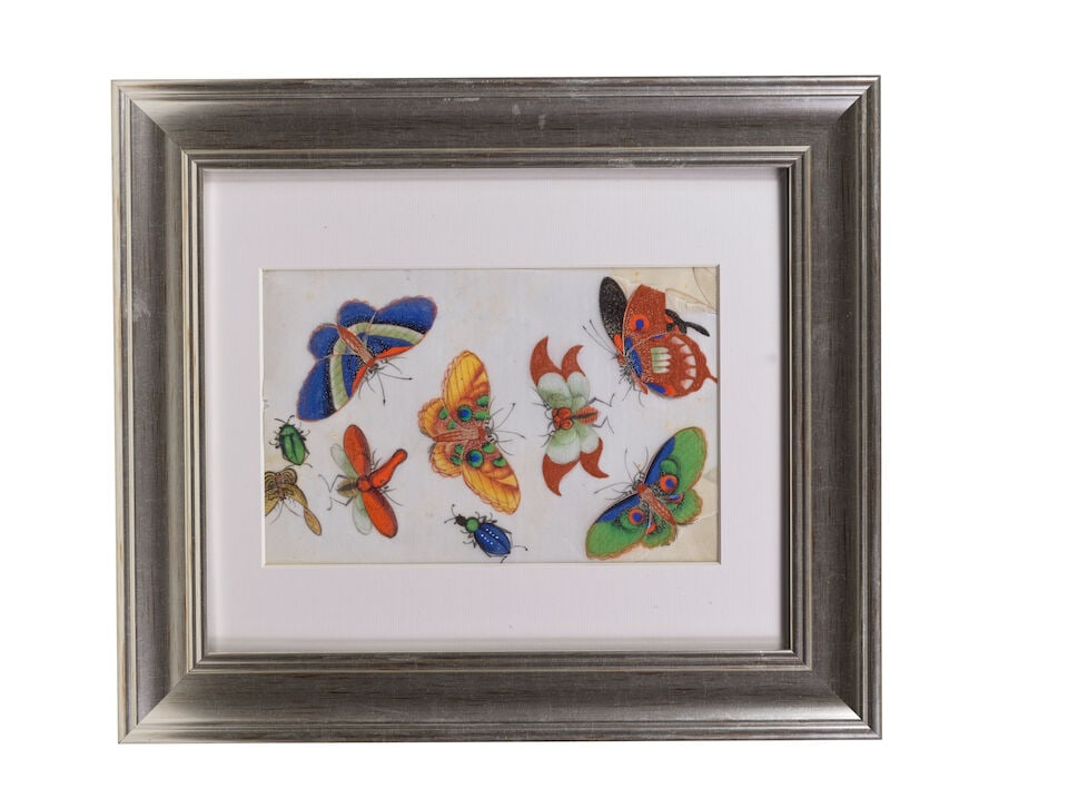 CHINESE ARTIST (19TH CENTURY) Studies of Butterflies and Insects (12) - 7