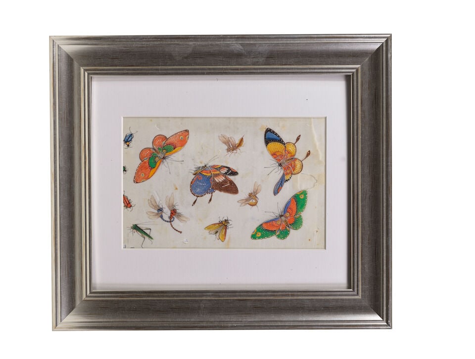 CHINESE ARTIST (19TH CENTURY) Studies of Butterflies and Insects (12) - 9