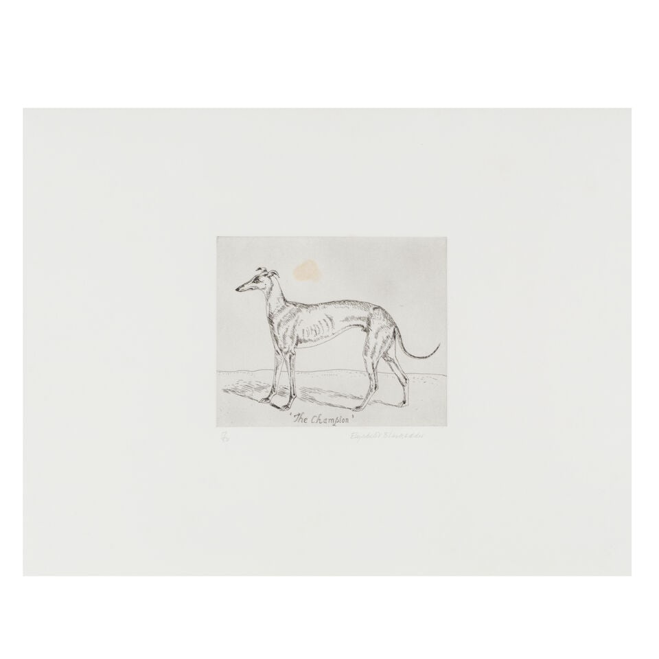 Dame Elizabeth Blackadder OBE RA RSA RSW RGI DLitt (British, 1931-2021) The Champion Etching, 19...: Dame Elizabeth Blackadder OBE RA RSA RSW RGI DLitt (British, 1931-2021) The Champion Etching, 1995, on Somerset wove paper, signed and numbered 17/50 in pencil, published by Glasgow Print Studio,