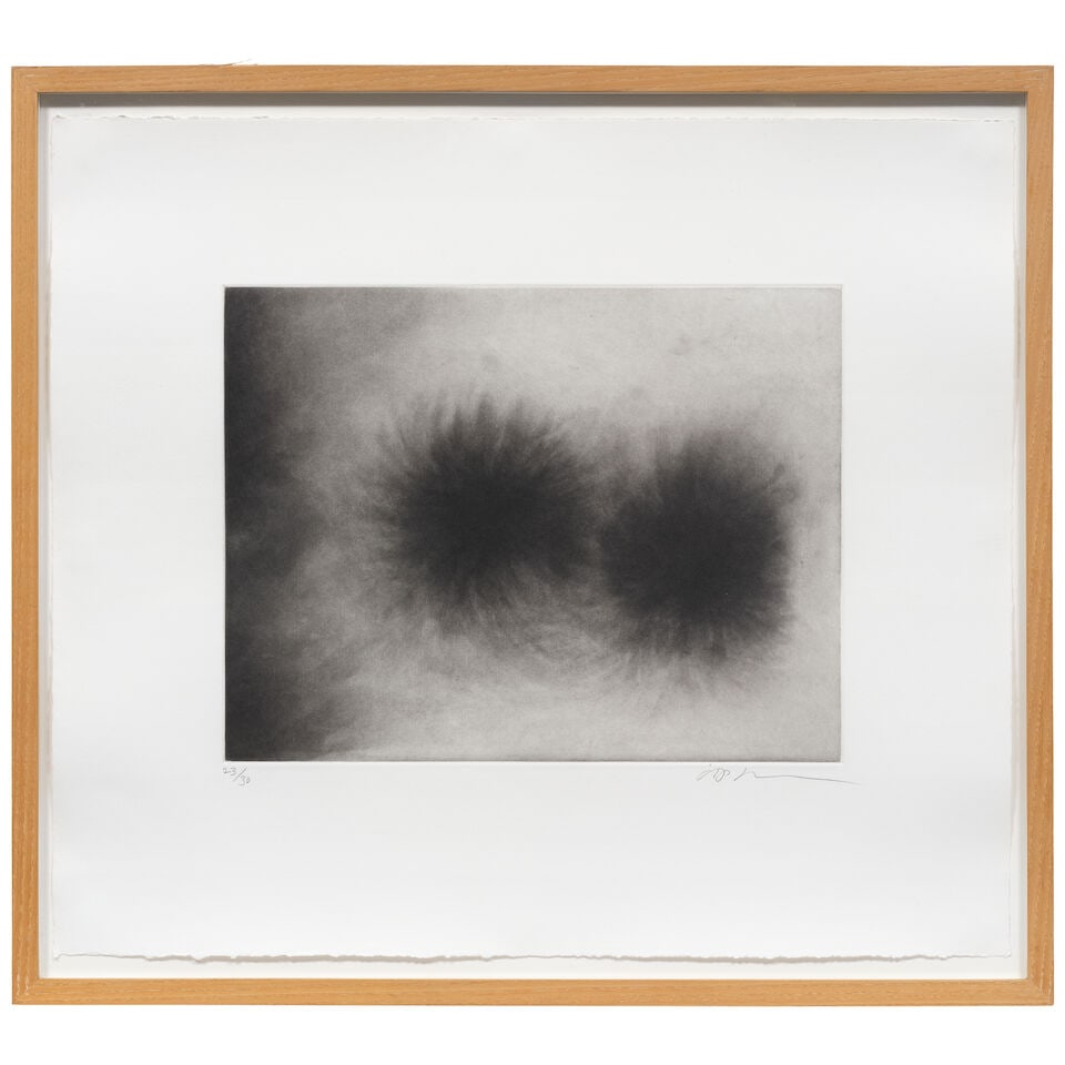 Anish Kapoor C.B.E., R.A. (British, born 1954) One Plate, from Untitled 1-15 Spit-bite etching w... - 2