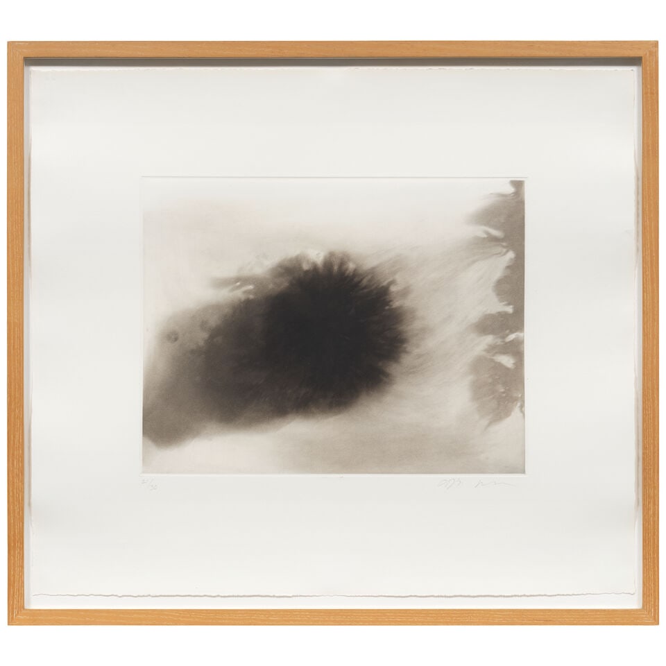 Anish Kapoor C.B.E., R.A. (British, born 1954) One Plate, from Untitled 1-15 Spit-bite etching w... - 2